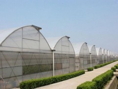 淄博溫室大棚建造 一流價(jià)格與專業(yè)服務(wù)解析